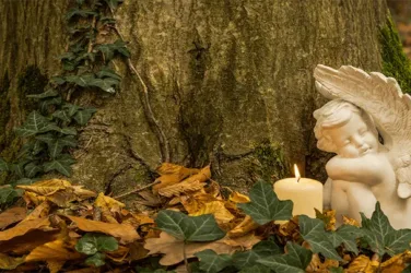 Un petit ange en platre et une bougie allumée sont positionnés au pied d'un arbre.